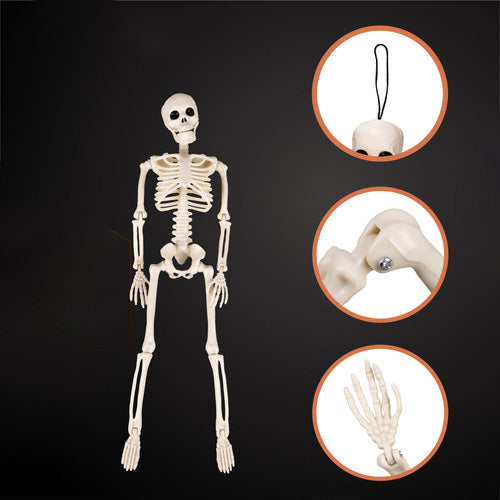 e1eac6d087f12cbc0839f9aa023a7077 e1eac6d087f12cbc0839f9aa023a7077